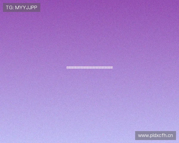 飞星集团引领产业创新驱动打造高质量发展新格局与区域经济协同共进